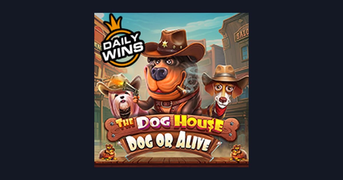Nikmati Daftar & Login Gampang di The Dog House Dog Or Alive Slot